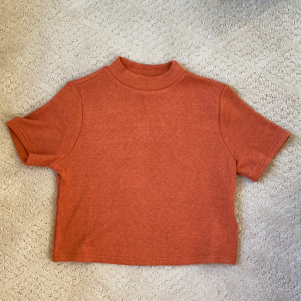 Shirtsleeve turtleneck top